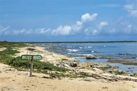 cozumel nude|Nude Beach is REAL! .